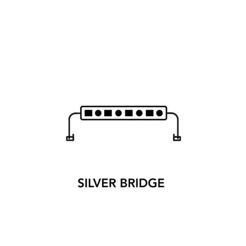 SilverBridge